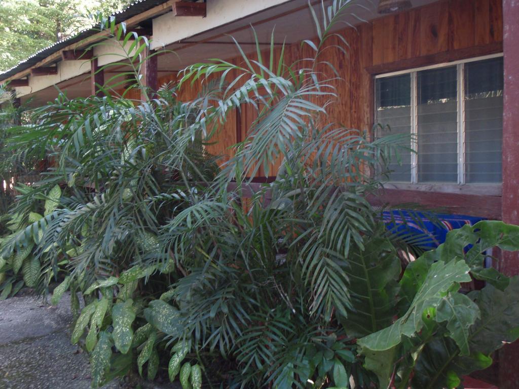 אל רמאטה Guest House Posada Ixchel חדר תמונה