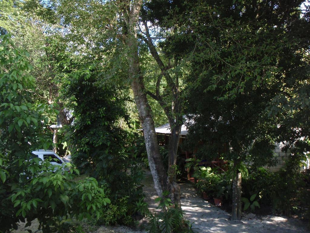אל רמאטה Guest House Posada Ixchel מראה חיצוני תמונה